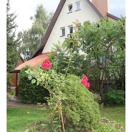Apartament Lesny Supraśl Kültér fotó