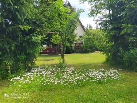 Apartament Lesny Supraśl Kültér fotó
